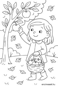 encimesék őszi tevékenység